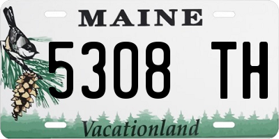 ME license plate 5308TH