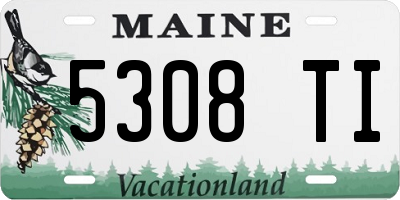 ME license plate 5308TI