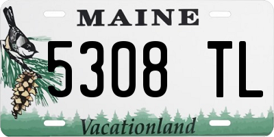 ME license plate 5308TL