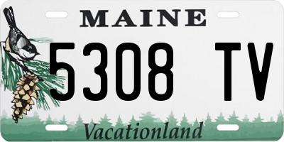 ME license plate 5308TV
