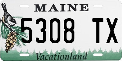 ME license plate 5308TX