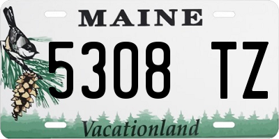 ME license plate 5308TZ