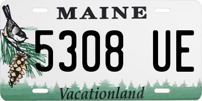 ME license plate 5308UE