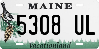 ME license plate 5308UL