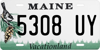 ME license plate 5308UY