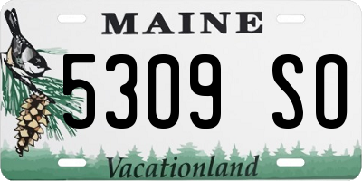 ME license plate 5309SO
