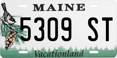 ME license plate 5309ST
