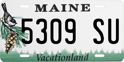 ME license plate 5309SU