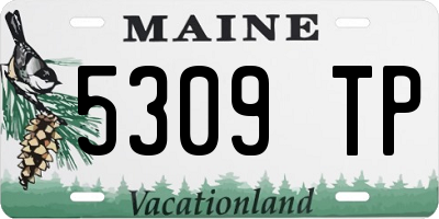 ME license plate 5309TP
