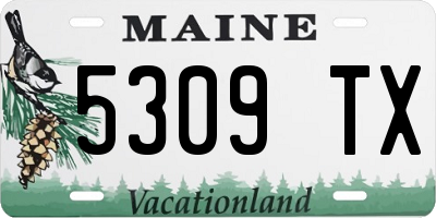 ME license plate 5309TX