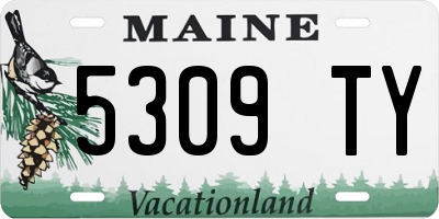ME license plate 5309TY