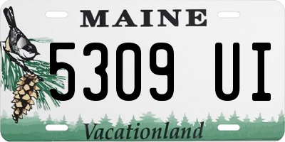 ME license plate 5309UI