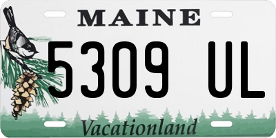 ME license plate 5309UL