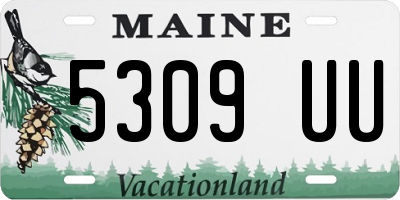 ME license plate 5309UU