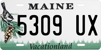 ME license plate 5309UX