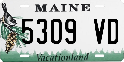 ME license plate 5309VD