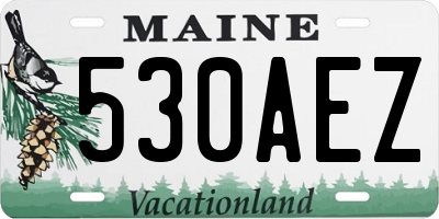 ME license plate 530AEZ