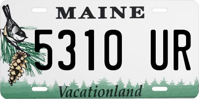 ME license plate 5310UR