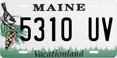 ME license plate 5310UV