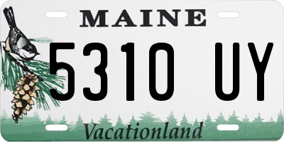 ME license plate 5310UY