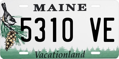 ME license plate 5310VE