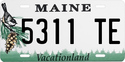 ME license plate 5311TE