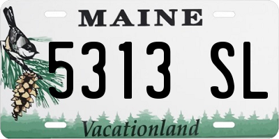 ME license plate 5313SL