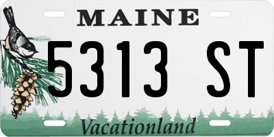 ME license plate 5313ST