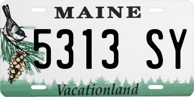 ME license plate 5313SY