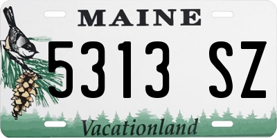 ME license plate 5313SZ