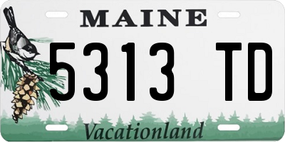 ME license plate 5313TD