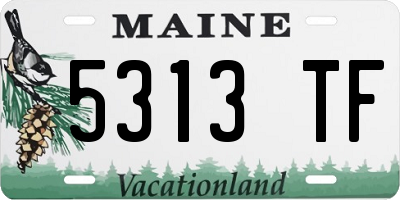 ME license plate 5313TF