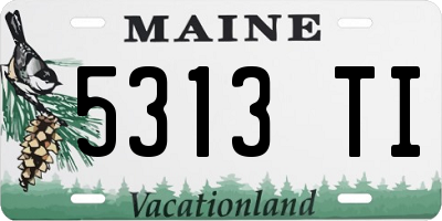 ME license plate 5313TI