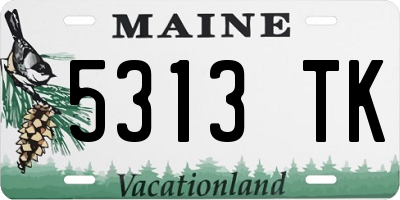 ME license plate 5313TK