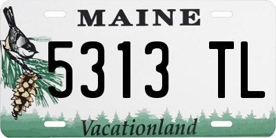 ME license plate 5313TL