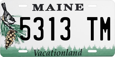 ME license plate 5313TM