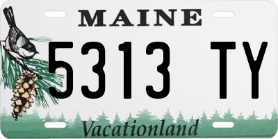 ME license plate 5313TY