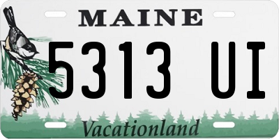 ME license plate 5313UI