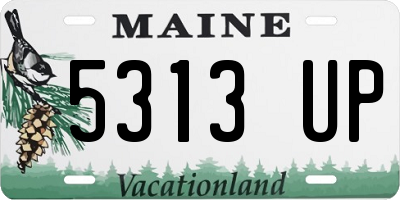 ME license plate 5313UP