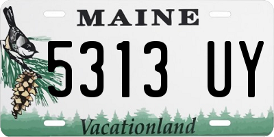 ME license plate 5313UY