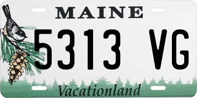 ME license plate 5313VG