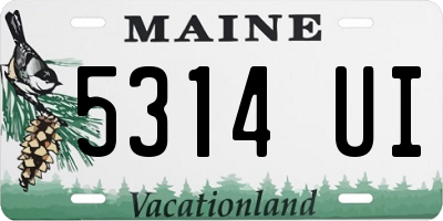 ME license plate 5314UI