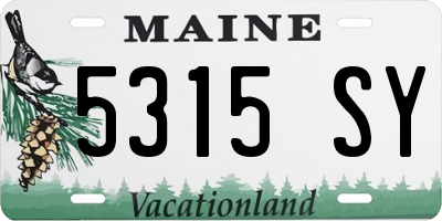 ME license plate 5315SY