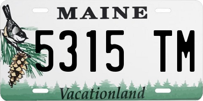 ME license plate 5315TM