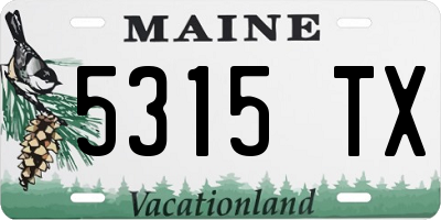 ME license plate 5315TX