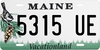 ME license plate 5315UE