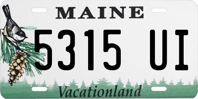 ME license plate 5315UI