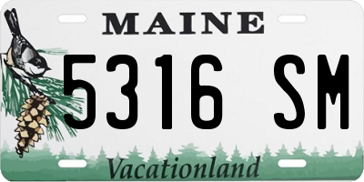 ME license plate 5316SM