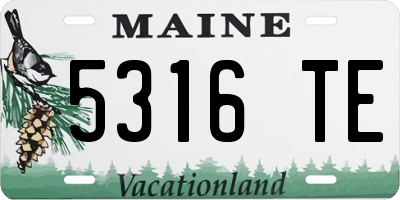 ME license plate 5316TE
