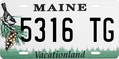 ME license plate 5316TG